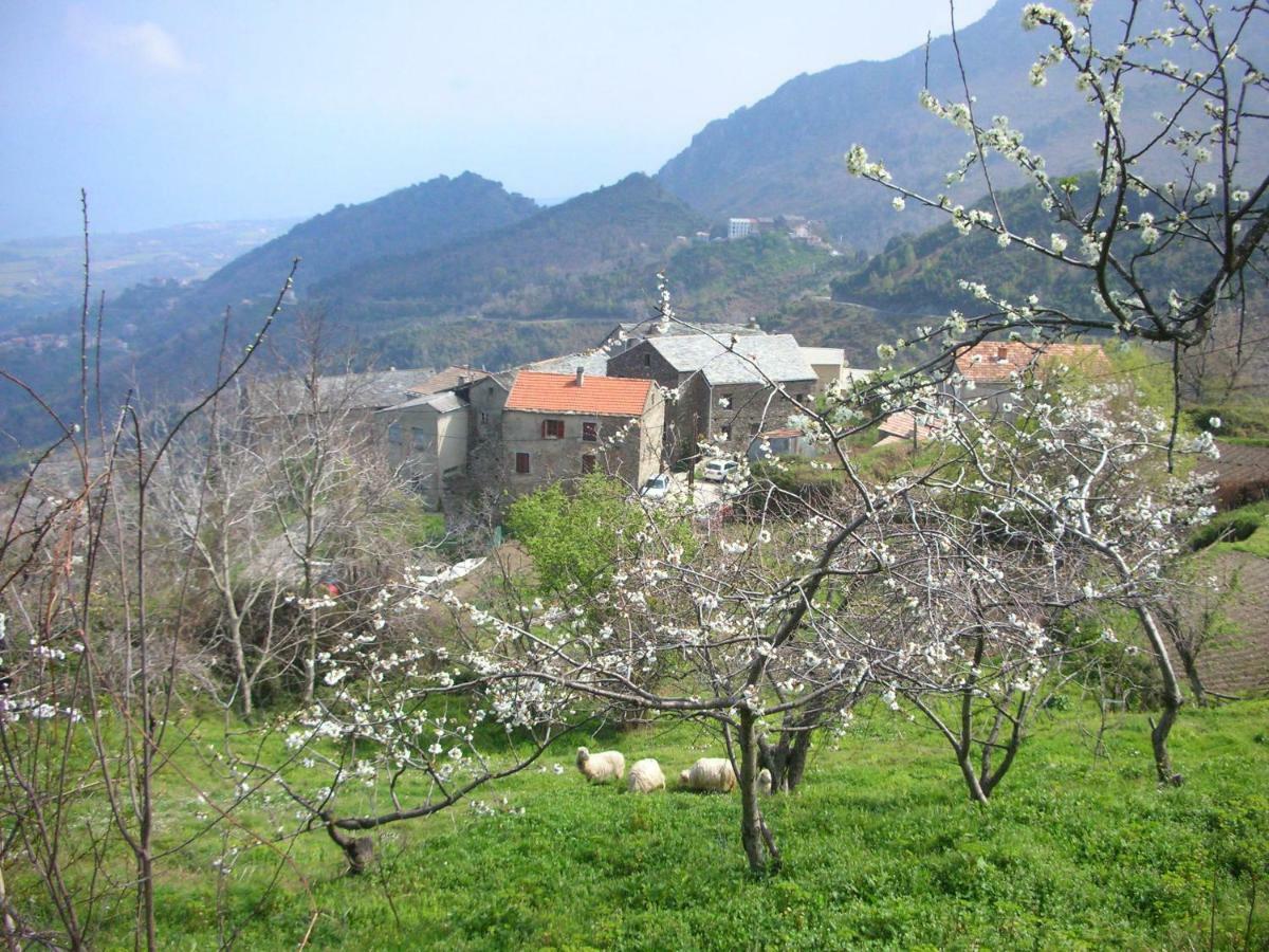 Sole E Ventu 30Qm Διαμέρισμα San-Giovanni-di-Moriani Εξωτερικό φωτογραφία