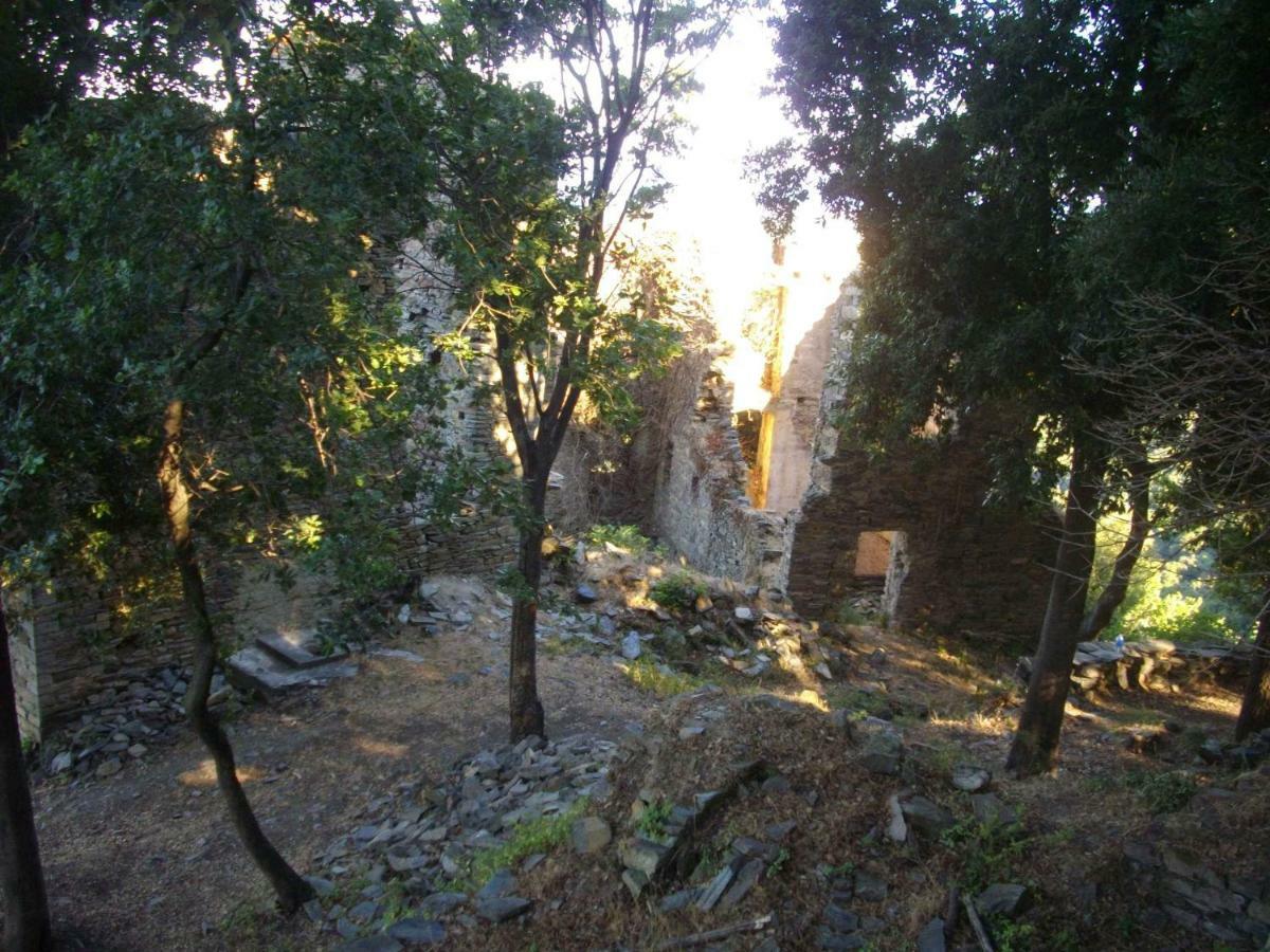 Sole E Ventu 30Qm Διαμέρισμα San-Giovanni-di-Moriani Εξωτερικό φωτογραφία