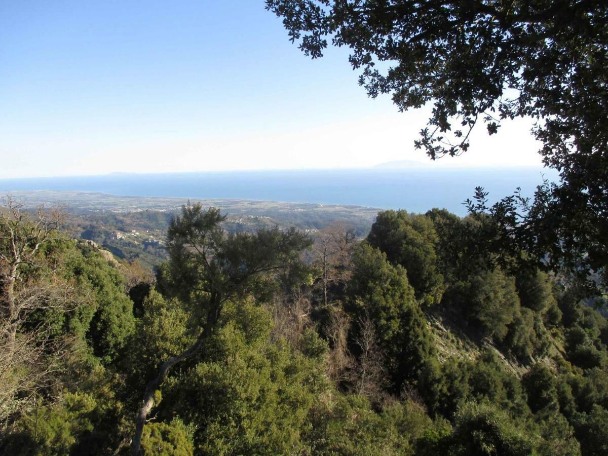 Sole E Ventu 30Qm Διαμέρισμα San-Giovanni-di-Moriani Εξωτερικό φωτογραφία